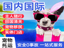 成都双流机场邮寄国际宠物托运 【国